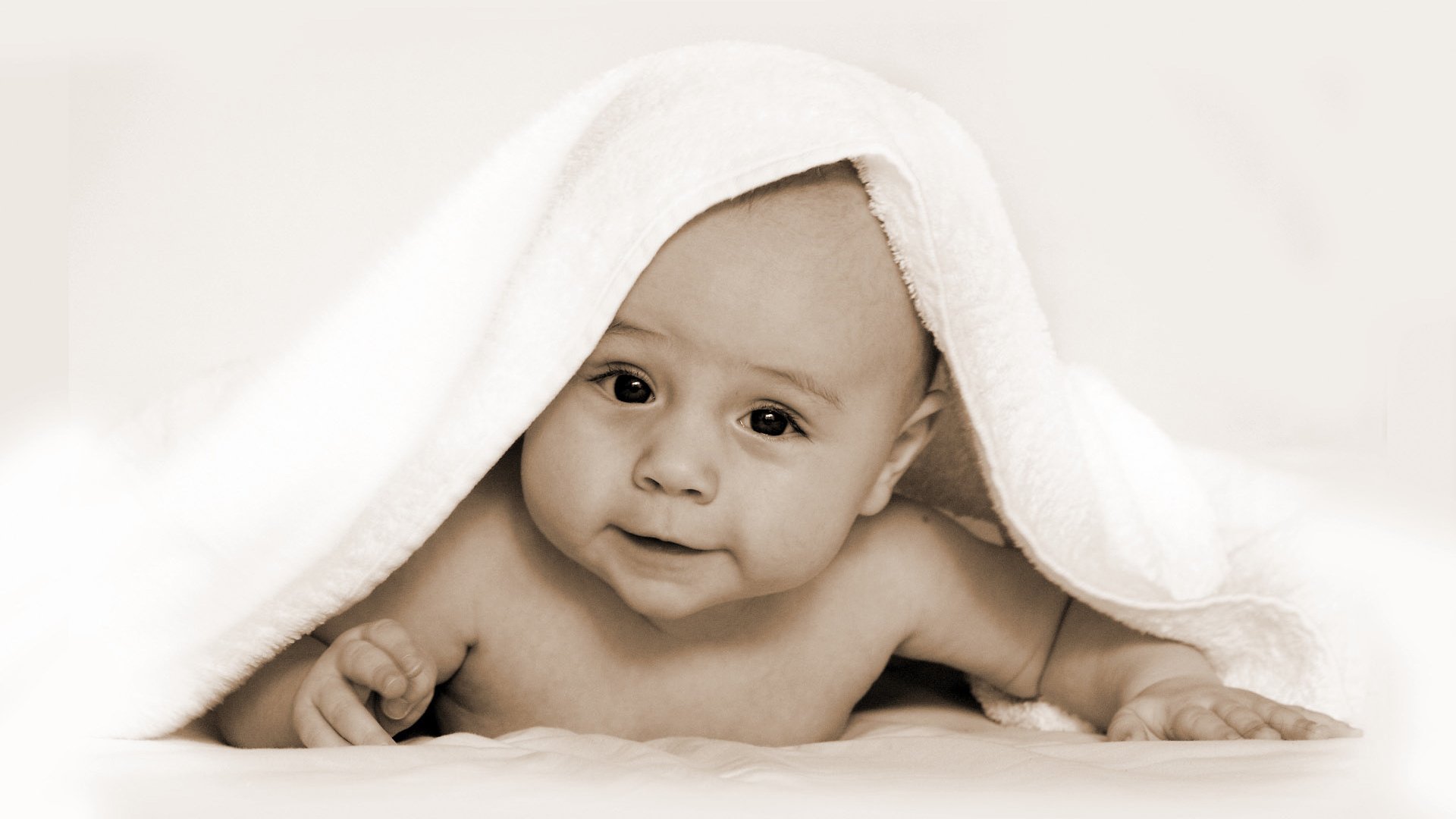 供卵公司机构试管婴儿当月移植成功率